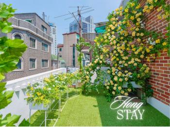 Hong stay, Seul (foto 3)