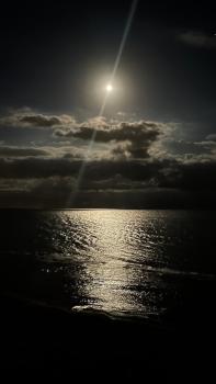 mare mare mare, Nettuno (foto 2)