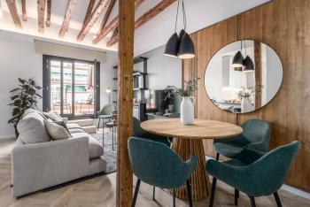 Ziggy - 3 bedrooms and terrace and balcony in Trafalgar, Madrid (photo 2)