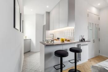 Ziggy - 3 bedrooms and terrace and balcony in Trafalgar, Madrid (photo 3)