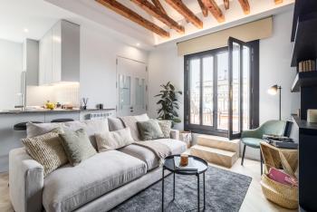 Ziggy - 3 bedrooms and terrace and balcony in Trafalgar, Madrid (photo 4)