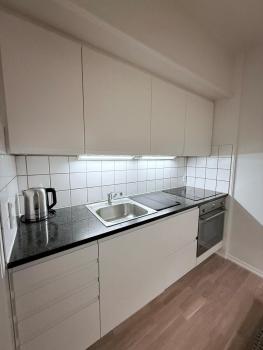 Apartment by the Lakes in Copenhagen, Copenaghen (foto 5)