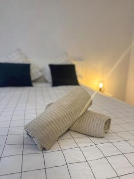 Le Cocon des Peintres 1 bedroom of Lyon, Lyon (fotografie 4)