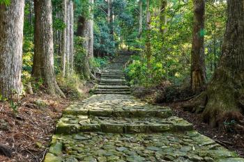 シングウノイエ【貸切】熊野古道　速玉大社　那智の滝　神倉神社　マグロ　和歌山ラーメン　, Shingū (foto 3)