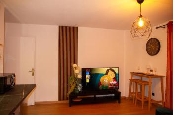 Entire apartment for rent, Strasbourg (photo 5)