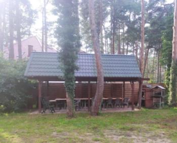 Cyklami, Pobierowo (fotografie 5)