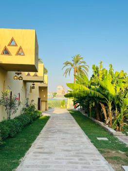 Peace & Freedom Guesthouse - West Bank, Al Aqālitah (foto 5)