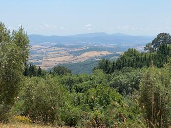 Casale in Maremma Podere Marino, Scansano (Foto 2)