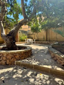 Cornucopia Hotel, Xagħra (foto 2)