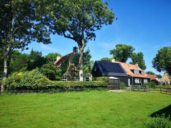 Lanterfant, Nes (foto 4)