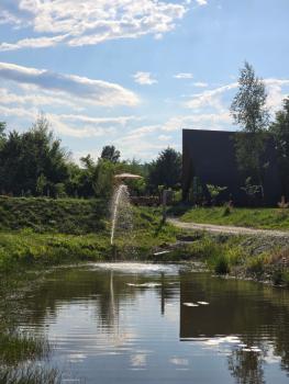 Api Aframe, Avrig (Foto 4)