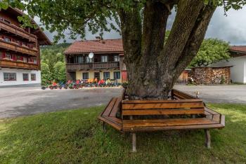 Peterbauerhof, Ramsau am Dachstein (foto 4)