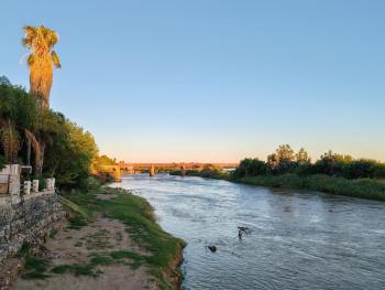 A Must, Upington (zdjęcie 3)