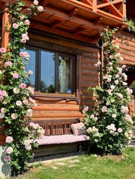 Садиба Маланка, Mykulychyn (photo 4)