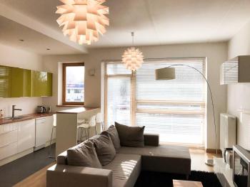 Stunning & Quiet Apartment, Riga (foto 3)
