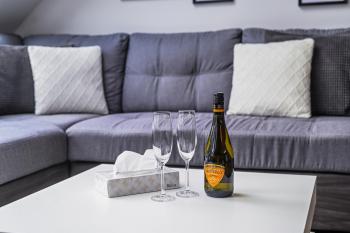 Luxury City Loft Modern and Elegant, Bratysława (zdjęcie 4)