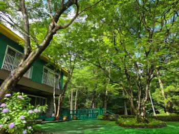 最大23名宿泊 源泉温泉 ホームシアター 客室8部屋 那須グリーン温泉, Nasu (foto 2)
