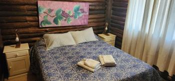Cabin in Protrerillos near Mendoza River, Potrerillos (fotografie 4)