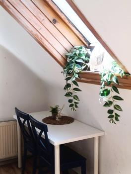 Apartment for families or groups, Lublaň (fotografie 5)
