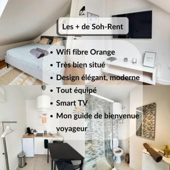 Soh Rent Strasbourg Studio 2 Tv- Wifi Proche Gare, Štrasburk (fotografie 5)