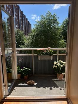 Bright, child-friendly, balcony, 50 meters from the subway, Копенгаген (фото 2)