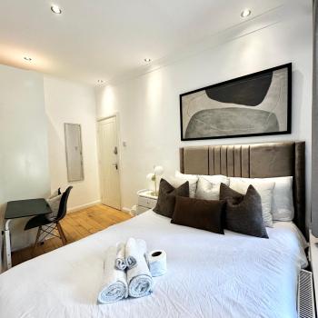 Elegant Room in Central London, Londyn (zdjęcie 3)