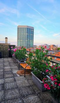 Studio penthouse lumineux avec grande terrasse de 40m2, Брюссель (фото 2)