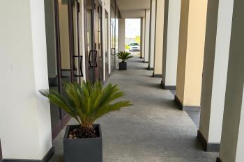 Civico61, Parma (foto 4)