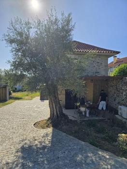 Recanto do Eido, Ponte de Lima (photo 5)
