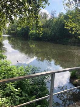 Номер з кондиціонером, Černihiv (fotografie 3)