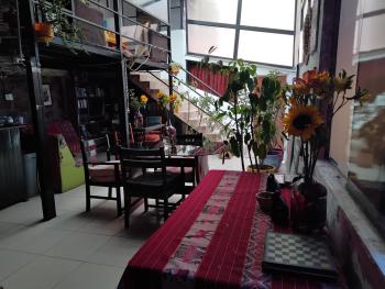 SOLGARDENs, Cuzco (foto 2)