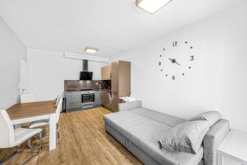 New cosy apartment, Free Parking, PVA EXPO Prague, Praga (foto 5)