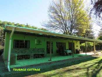 Touraco, Hogsback (zdjęcie 3)
