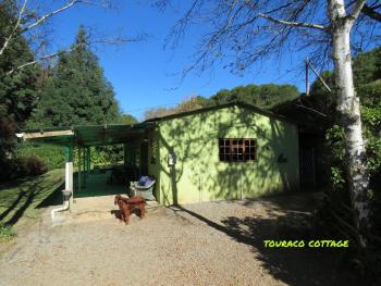 Touraco, Hogsback (zdjęcie 4)