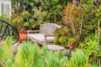 Casa Superba - Peaceful Sanctuary in Venice, Los Angeles (foto 2)
