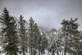 Valley View - Carson Valley Views, Stateline (fotografie 5)