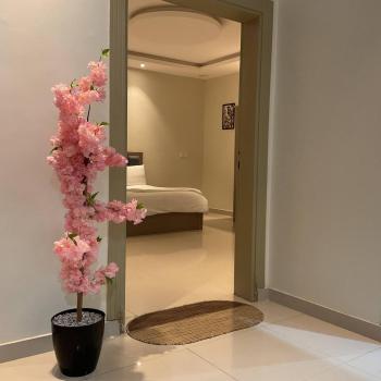 شـقـة بغـرفـتـيـن Two rooms, Al Kharj (fotografie 3)