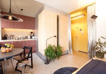 Studio Silver - Central City - Free Parking, Basilea (foto 3)