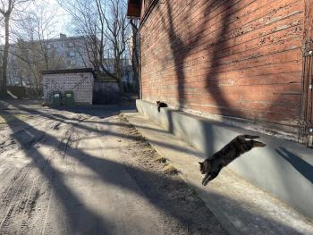 Ilguciema Kreslera, Riga (photo 5)