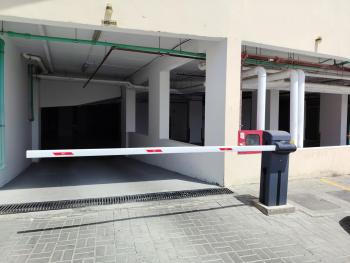 Flatjurii, Mascate (foto 5)