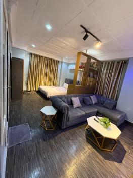 Big Studio Unit in Lekki phase 1 - Kitchen, Washer, 24-7 light, WiFi & Netflix, Lagos (fotografie 4)