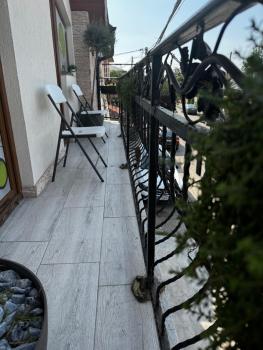 Muz, Filiaşi (foto 4)