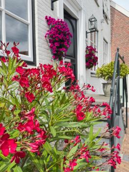 De Witte Gans, Ootmarsum (fotografie 4)