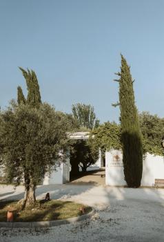 Cortijo de Enmedio, Grenada (zdjęcie 2)