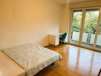 Charming City Center Flat with Balcony Steps from Zurich Historic Schloss, Curych (fotografie 3)
