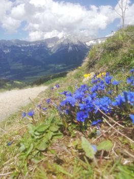 Fuchs Alm, Itter (fotografie 3)