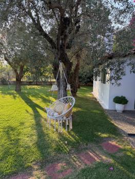 Oasis, Skiathos (foto 5)
