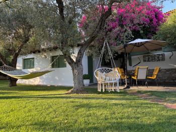 Oasis, Skiathos (foto 4)