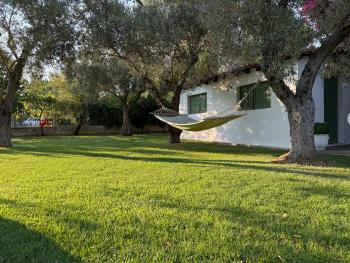 Oasis, Skiathos (foto 3)