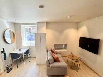 Chic and Modern Studio - Central, Oslo (foto 3)